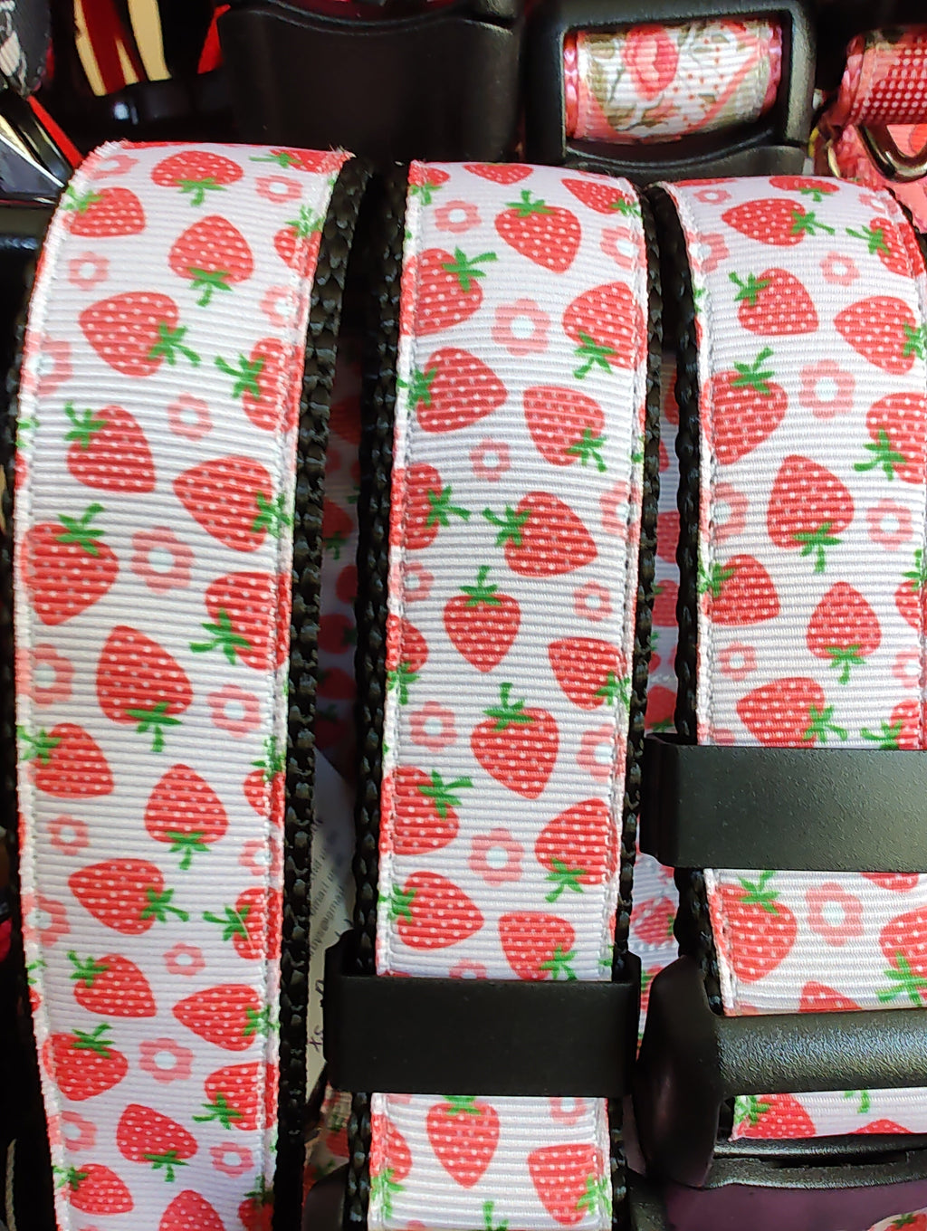 Strawberry Flowers Black Nylon Dog Collar MD, LG, XL, Leash