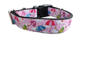 Umbrella Weather Nylon Dog Collar