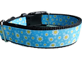 Daisies Nylon Dog Collar