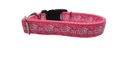 Fuck Pink Nylon Dog Collar