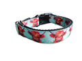 Highland Cows Nylon Dog Collar