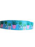 Potted Cacti Nylon Dog Collar