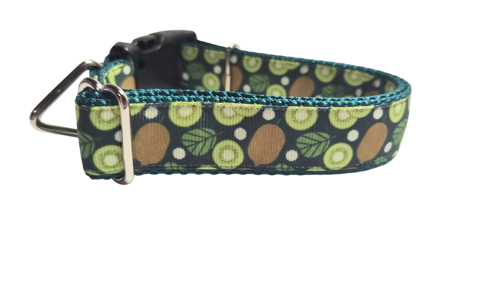 Kiwi Fruit Nylon Dog Collar